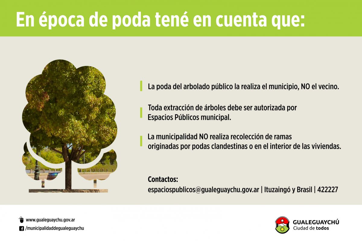 Recomendaciones importantes sobre poda de árboles - Municipalidad  Gualeguaychú Entre Ríos Argentina