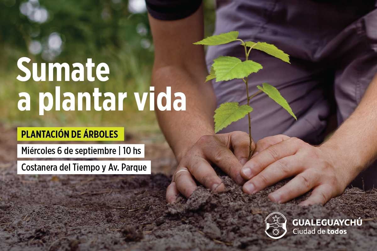 La Municipalidad apuesta a las plantaciones de árboles nativos en la ciudad  - Municipalidad Gualeguaychú Entre Ríos Argentina
