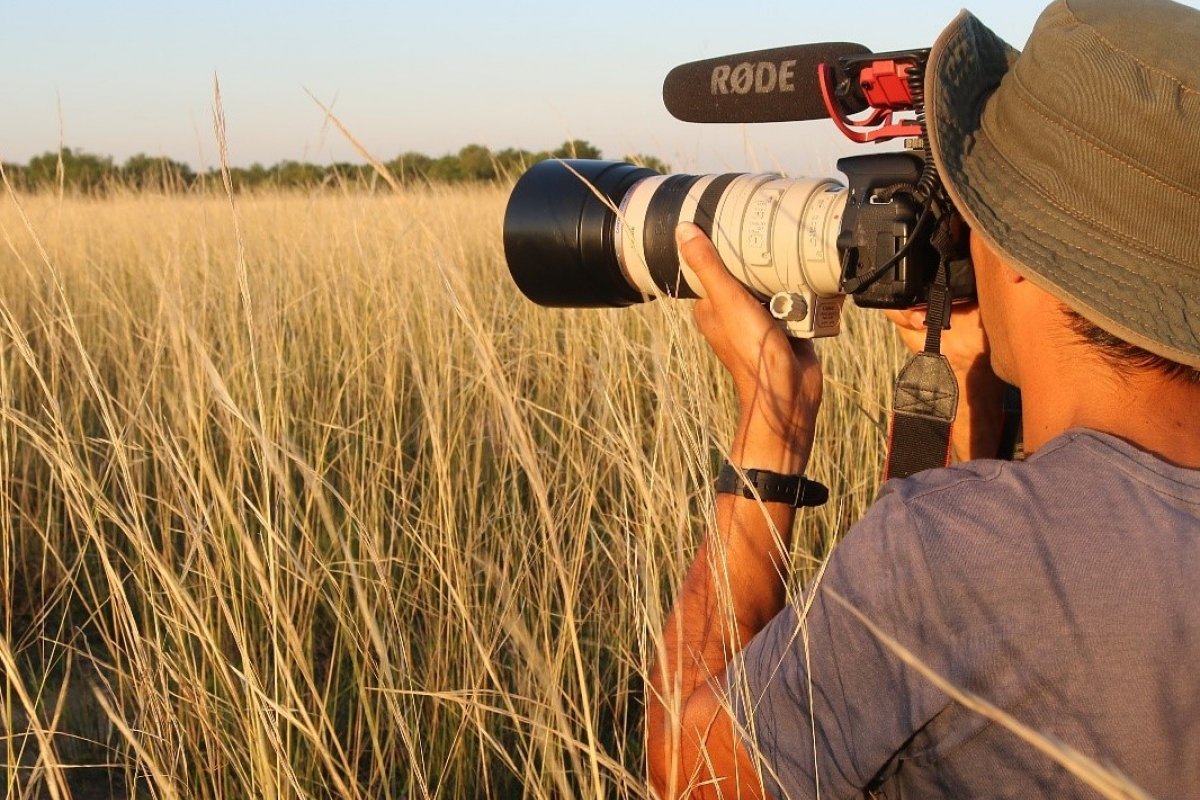 Resultados Del Día Mundial De Observación De Aves Municipalidad