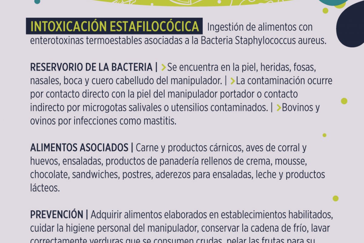 Enfermedades Transmitidas Por Alimentos Intoxicacion Estafilococica Municipalidad Gualeguaychu Entre Rios Argentina